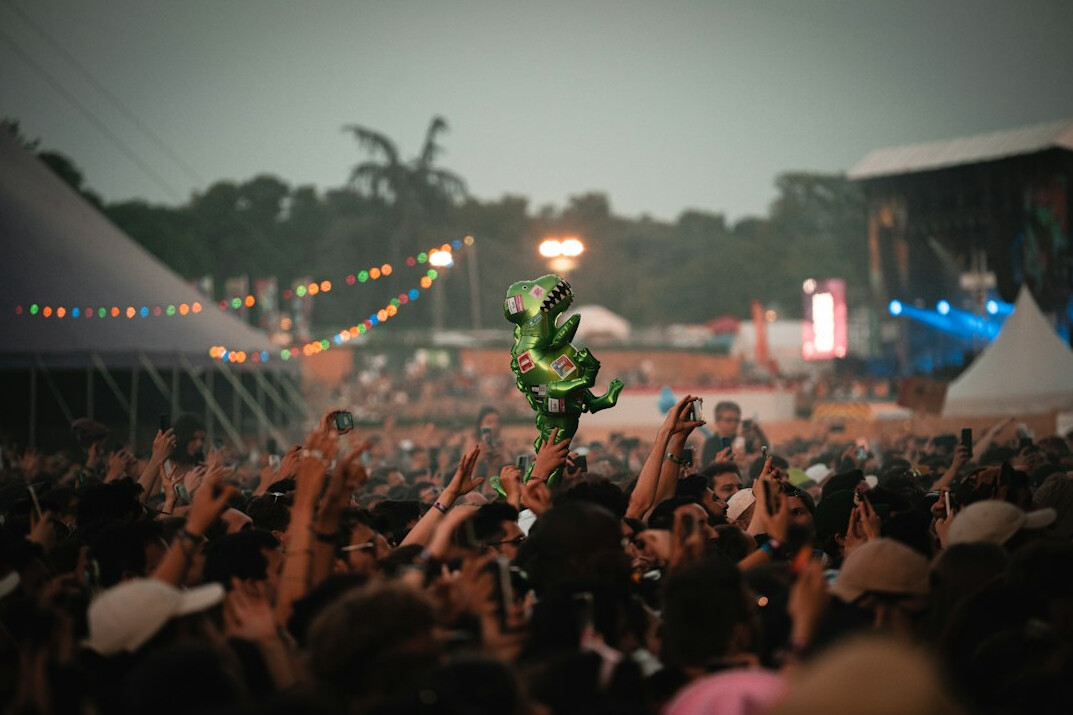 crowd at music festival
